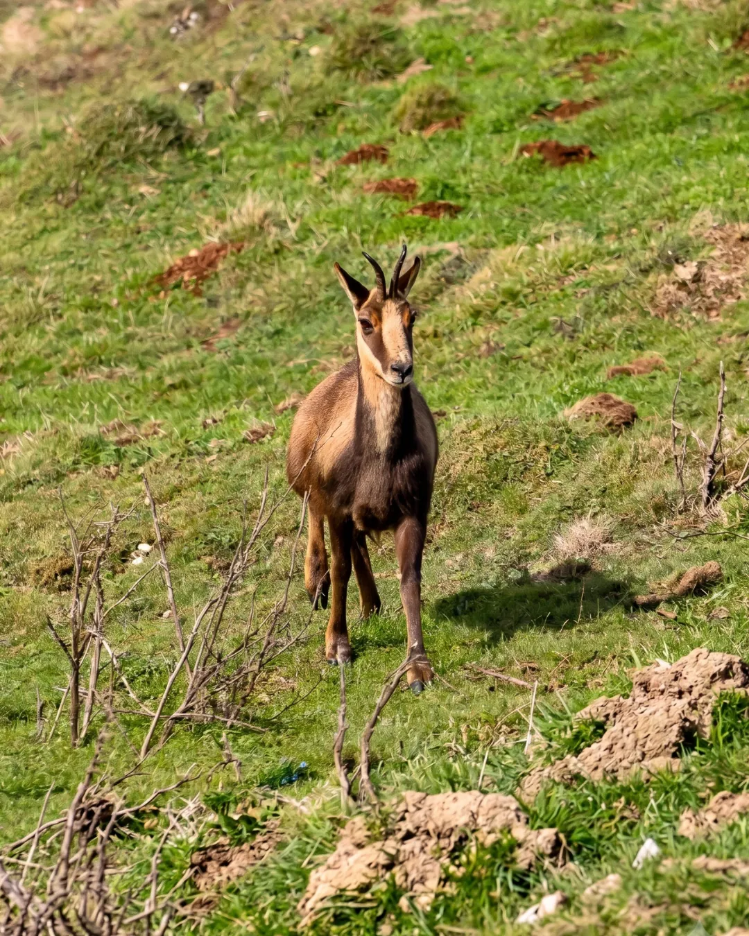 Viaje a medida en el Suroccidente asturiano